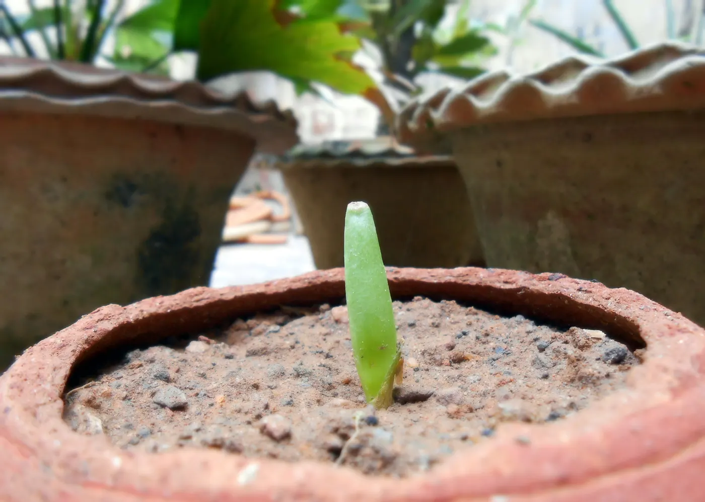 Natural, organic and aloe lubricants: what the labels mean